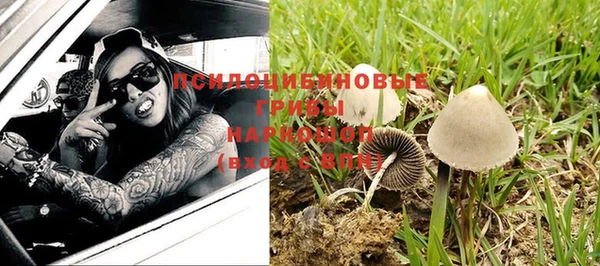 ГАЛЛЮЦИНОГЕННЫЕ ГРИБЫ Аркадак