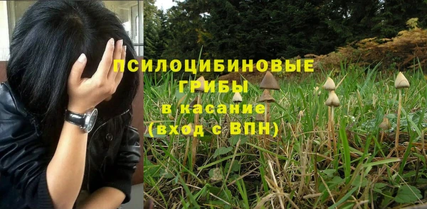 соль курить ск Арсеньев