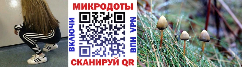 hydra ссылки  Райчихинск  Галлюциногенные грибы прущие грибы 