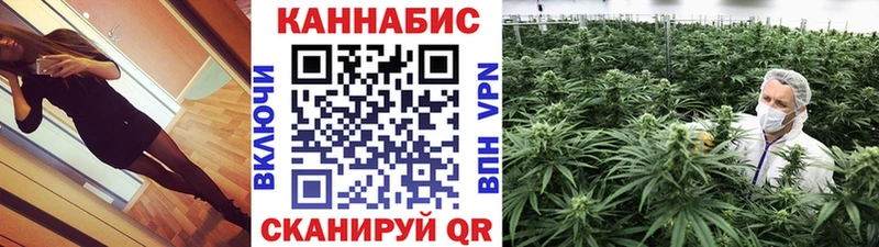 Бошки Шишки план  Райчихинск 